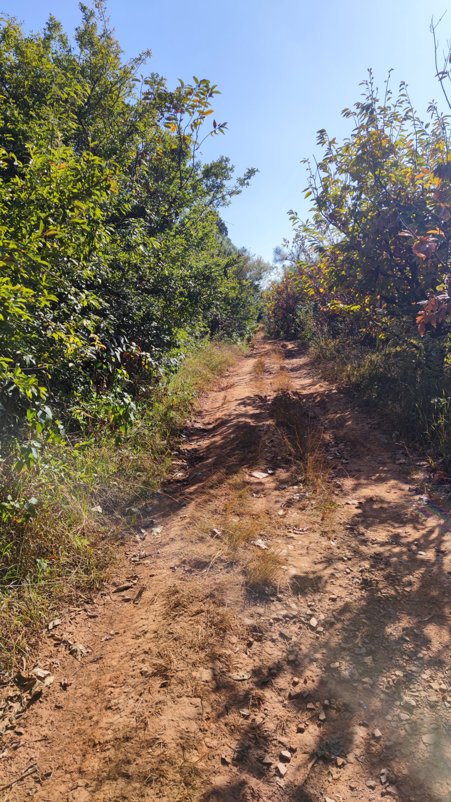 下山的野路